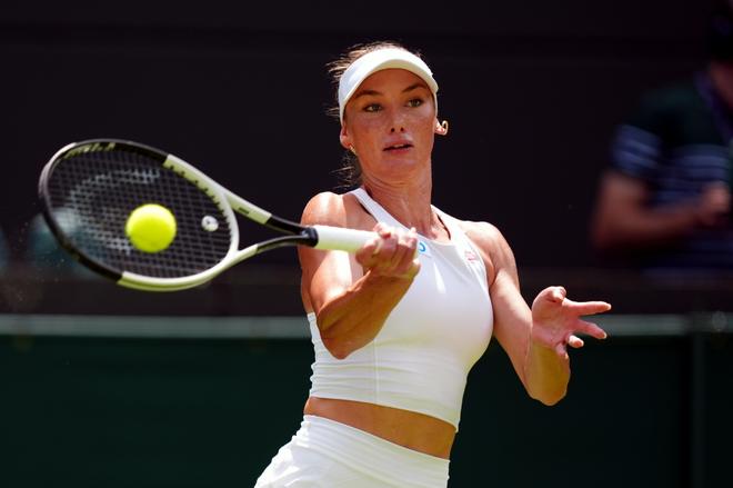 与其他新星 与其他新星