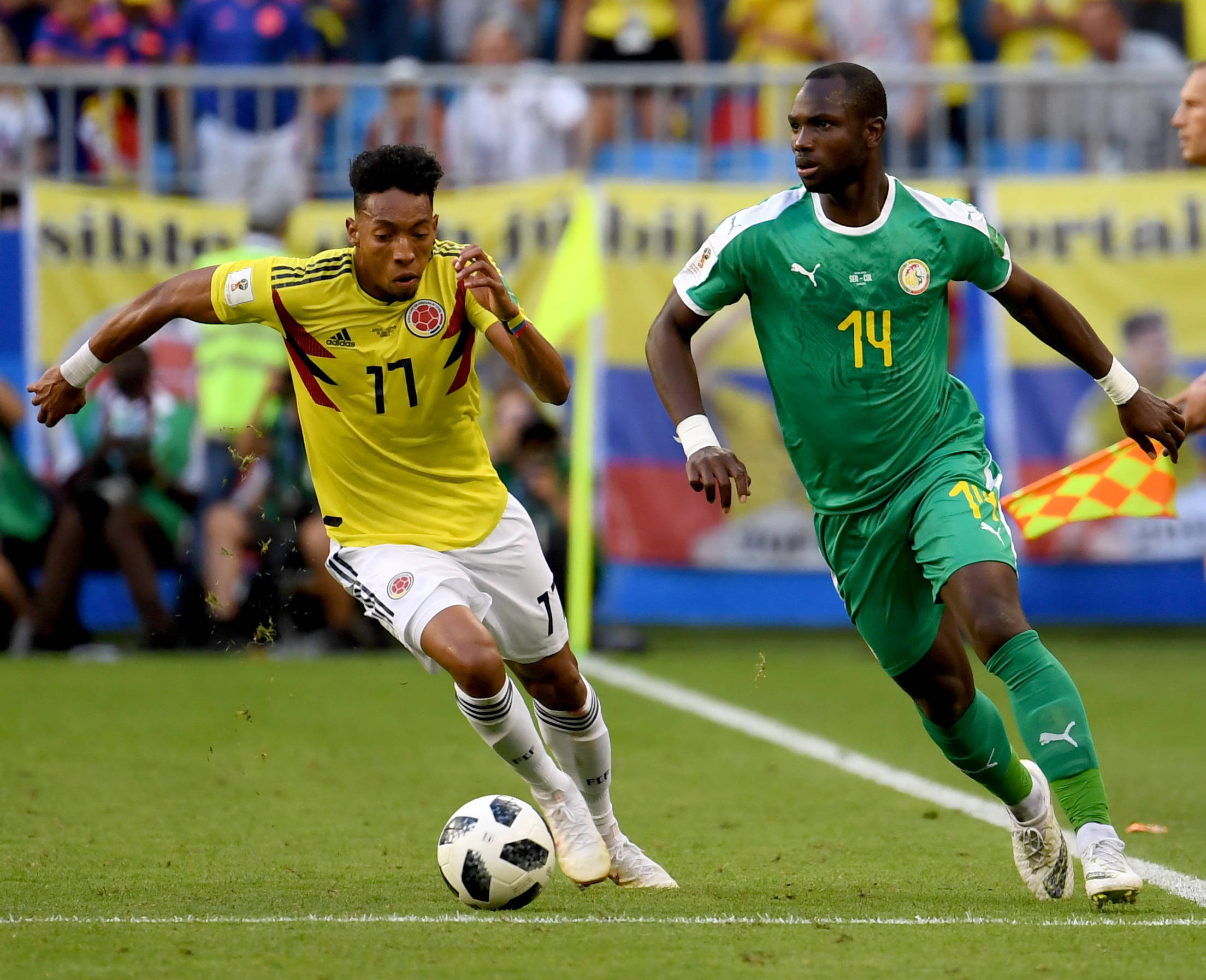 维茨基建立 维茨基建立