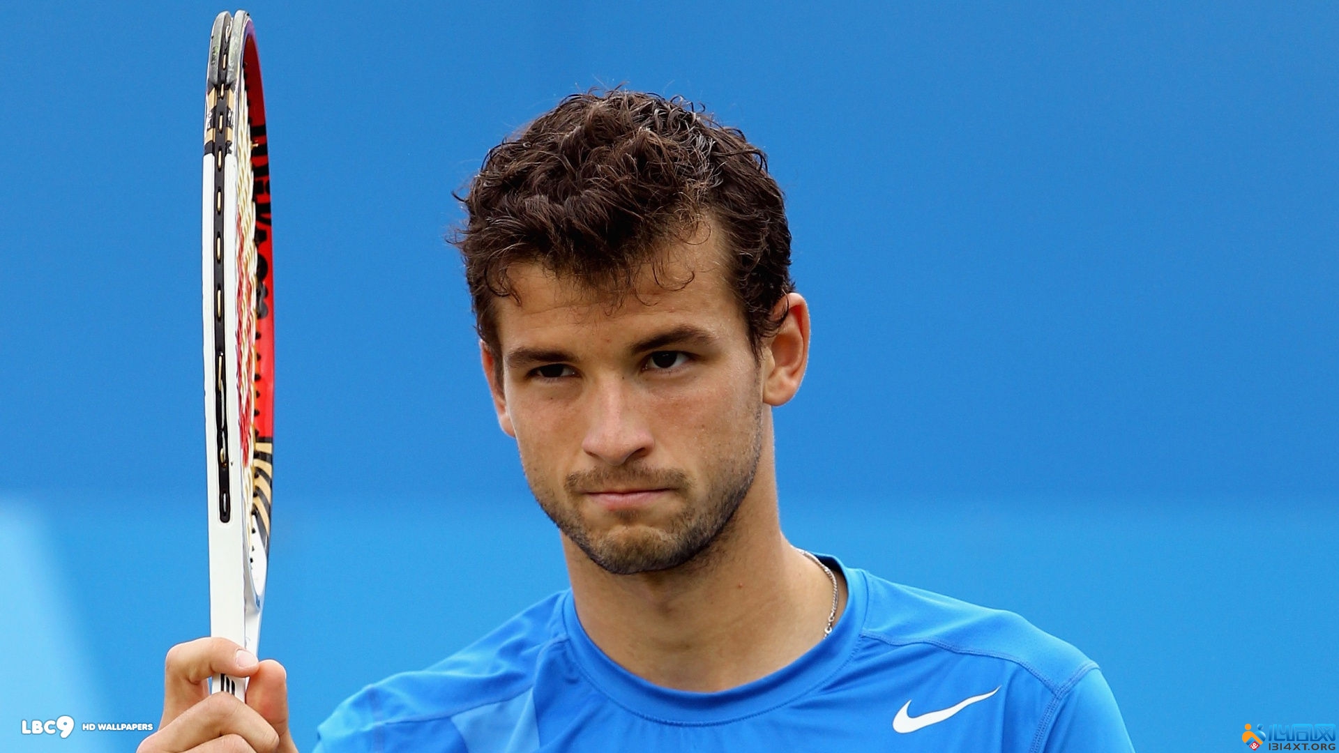 都显示了在 都显示了在